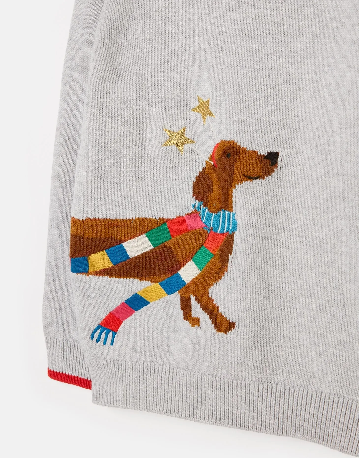 Christmas Dog Printed Sweater | Joules