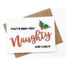 Funny Christmas card - You've been very naughty and I like..