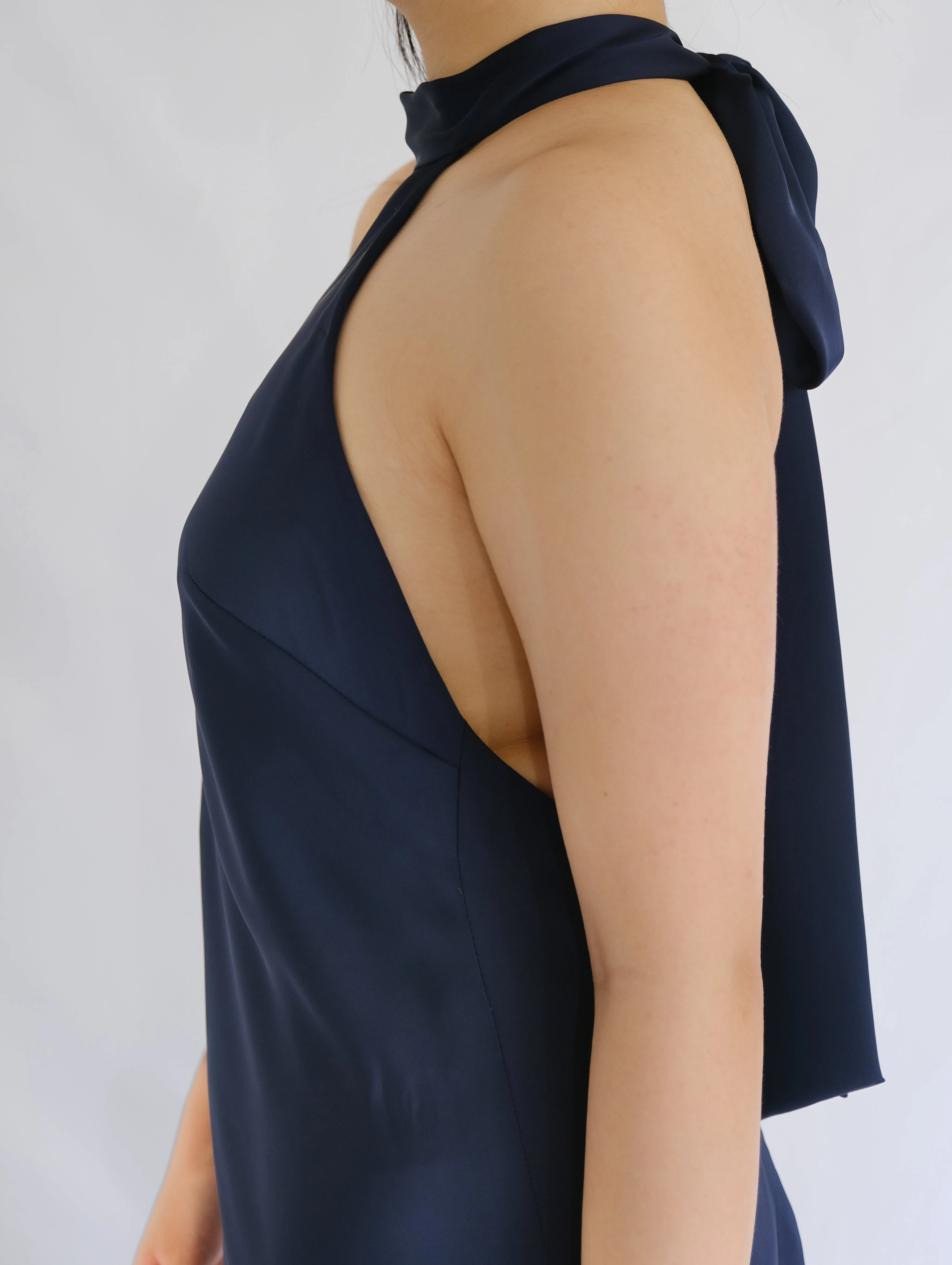 Hailey Backless Halter Silk Dress