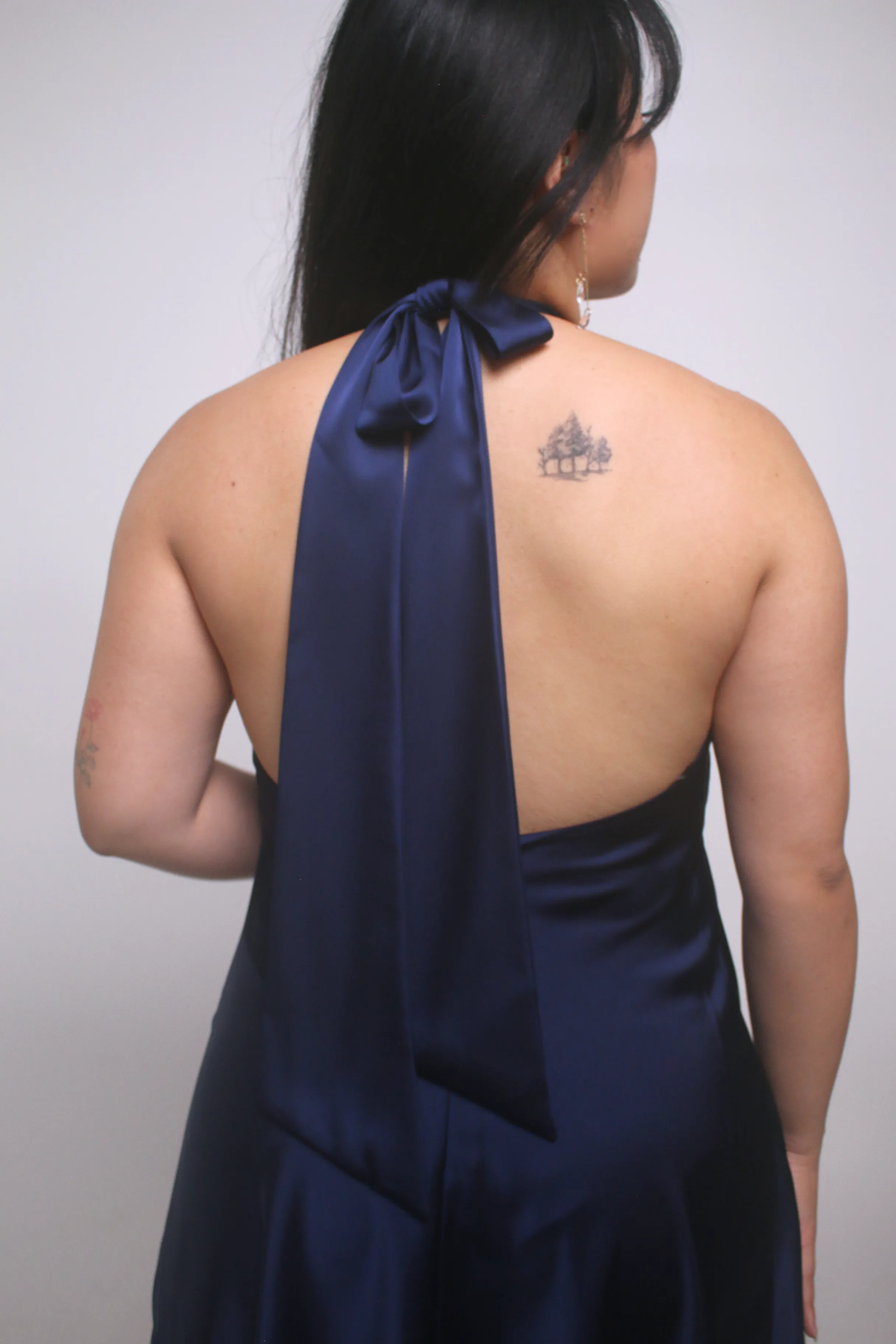 Hailey Backless Halter Silk Dress