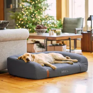 RecoveryZone® Couch Dog Bed